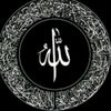meno.ali53