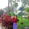 darr.li54