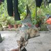 sarina.sidek.alia