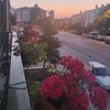 irin.dogan4