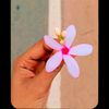 user1004961041662