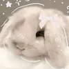 hb.l.0