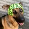 gumamela69o