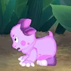 sannyz43