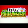 pemuda.mekarsari.kdl