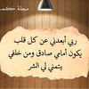 user8245341285923
