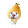 to.khanh.ha0