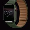 habibaahmed45524