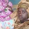 user5250507602402