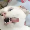 liaijubb5