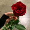 perialiyeva29
