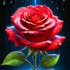 abdoulaye97054
