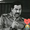 user8556653402266