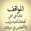 user8663772742908
