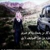 zaiad2295