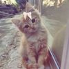 peek.aboo12