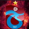 user958434337