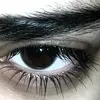 user_zheeka