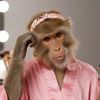 Lucy 💅🏻🐵