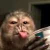 jess_4you0