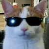 fish_ez7