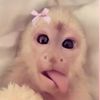 quinnie_thepooh3
