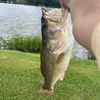 mason.fishes1