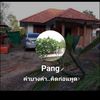 pang15910