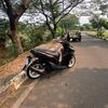 anzzz306