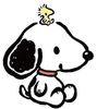 user330119420