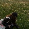 littledandelionz