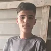 alialshamari494