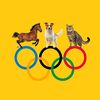 animalolympians