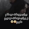 sami.farzam