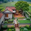 vn.quang.nguyn236