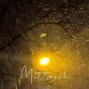 mssxinto2