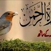 mantharali1234560