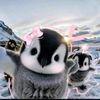 adel._044
