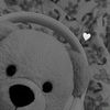 bearlly5