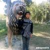 rojanrai989