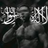 combat_sambo_587
