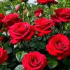 user3702093046