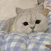 rsyevbp