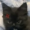 nezuko36955
