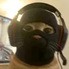 userfran210