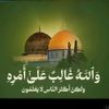 moner8646