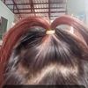 naythu.aung42