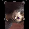 _trvyy_1th8_