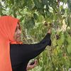 nisama.fathima