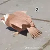 mas_4ta